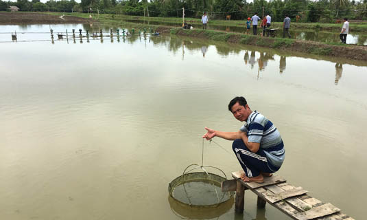 Ao nuôi tôm của Giám đốc HTX Mã Văn Hồng.