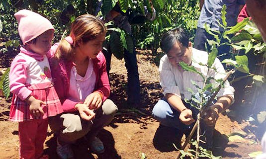 Cán bộ kỹ thuật hướng dẫn kỹ thuật canh tác chongười dân thôn Hang Hớt. Ảnh: Trung Kiên