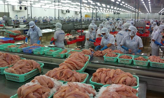 Trong nhà máy chế biến cá tra xuất khẩu của Caseamex.