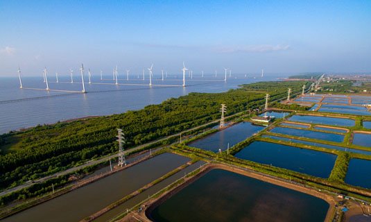 Nhà máy điện gió Bạc Liêu đã hoạt động ở bãi bồi ven biển.