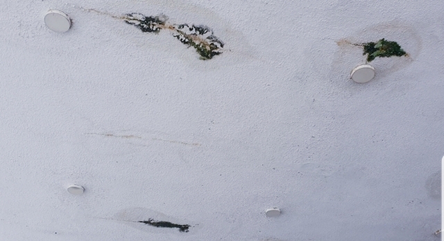 Cận cảnh điểm nứt rêu xanh trên trần Nhà ga Cảng Hàng không Phù Cát